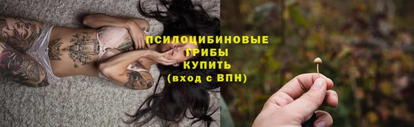 герыч Бородино