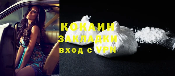 дживик Бронницы