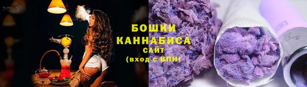 дживик Бронницы