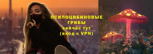 спиды Сосновка