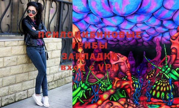 герыч Бородино
