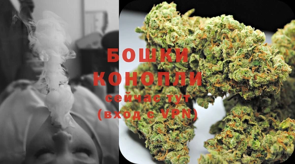 спиды Сосновка