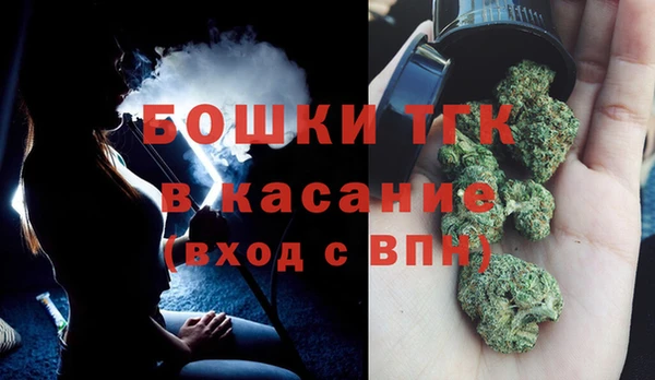дживик Бронницы